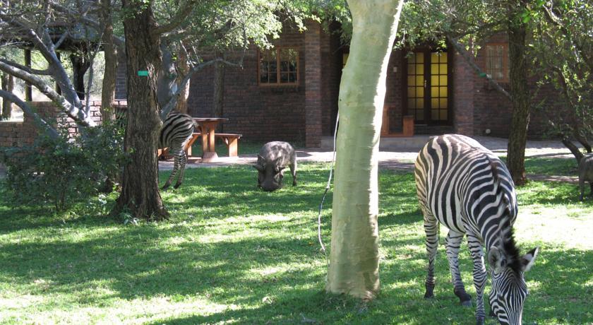 Отель Phumula Kruger Lodge and Safaris