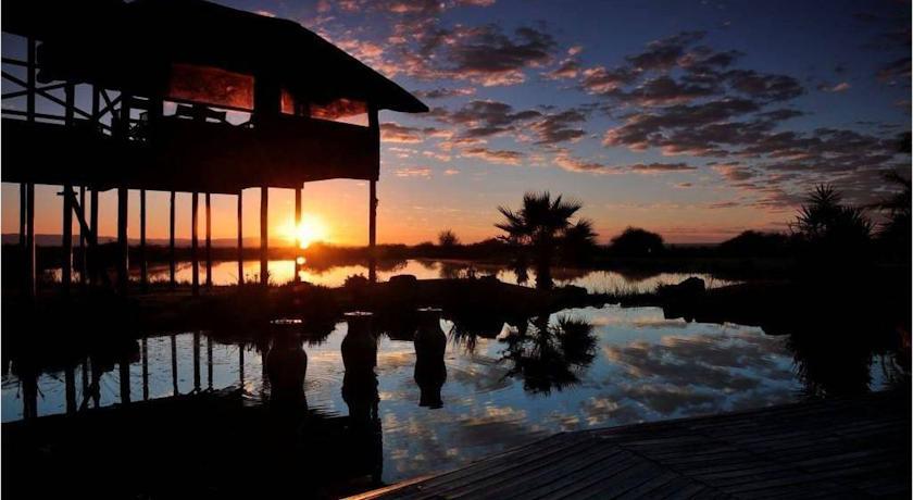 Отель Ditholo Game Lodge