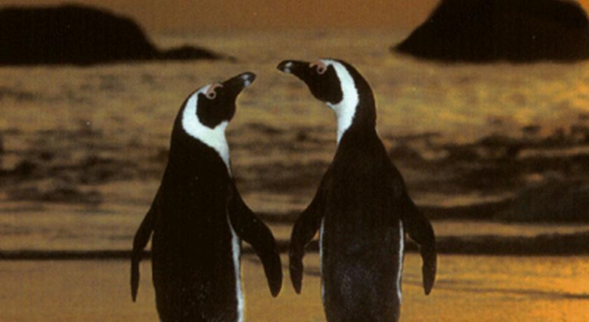Гостевой дом Penguinden