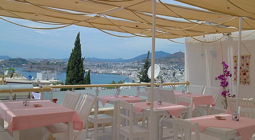 Belga Pension