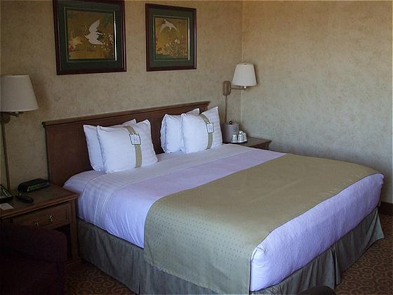 Отель Holiday Inn Richardson