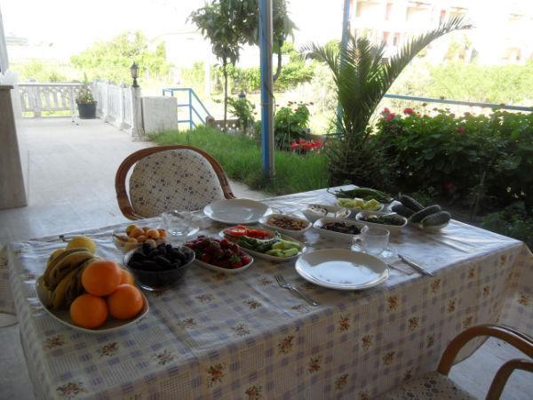 Мини-отель Delfin Hotel Gazipasa