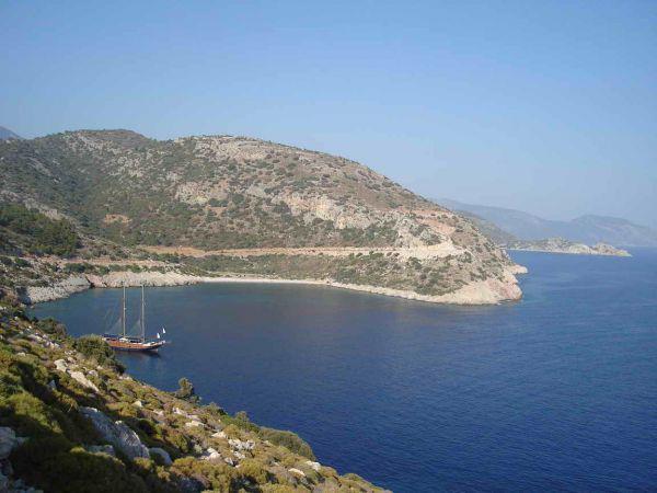 Отель Altun Pansiyon
