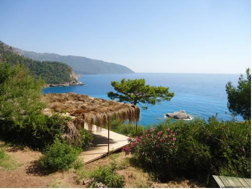 Secret Garden of Paradise