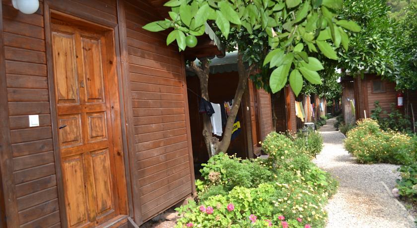 Отель Olympos Doga Pansiyon