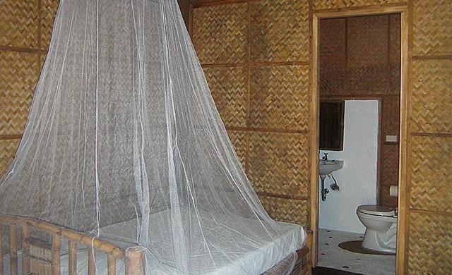 Отель Why Not Resort