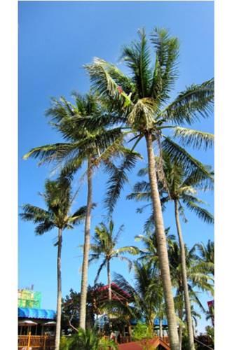 Отель Taitung San Sian Tai Sea View Garden B&B