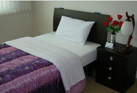 Airport Guesthouse