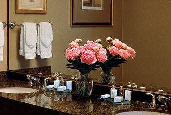 Отель Sheraton Philadelphia Downtown Hotel