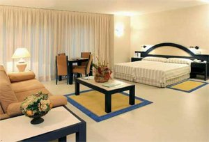 Отель Hotel Palacio del Mar