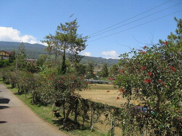Апартаменты Villa Minerva Istana Bunga Lembang