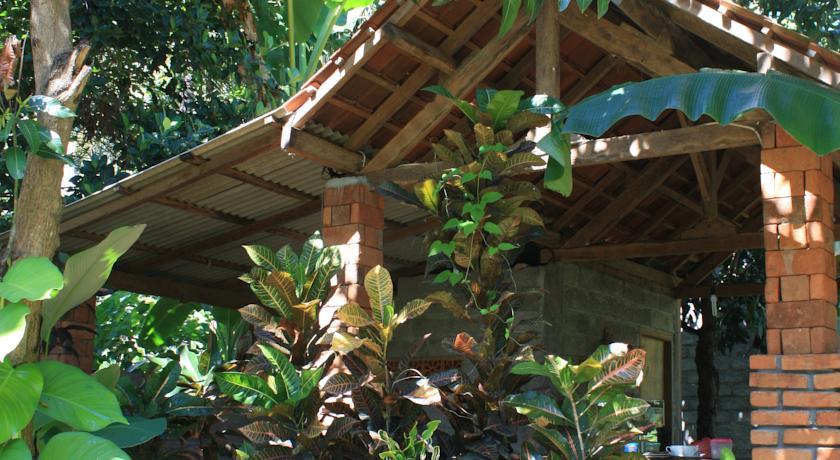 Отель Papaya Homestay
