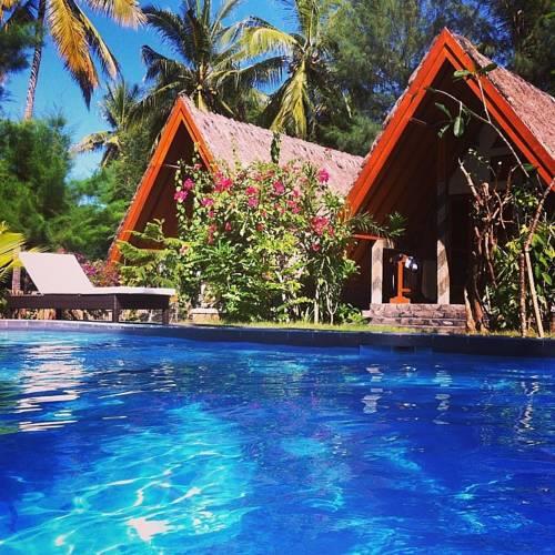 Отель Lucy's Garden Hotel