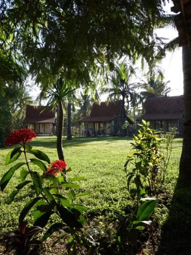 Гостевой дом Coconut Garden Resort