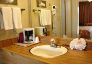 Отель Vagabond Inn-San Jose Airport