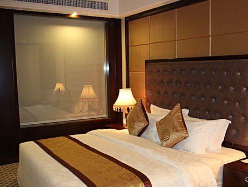 Отель Yucheng International Hotel