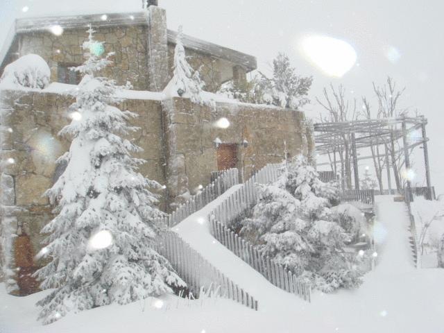 Отель Terre Brune Hotel