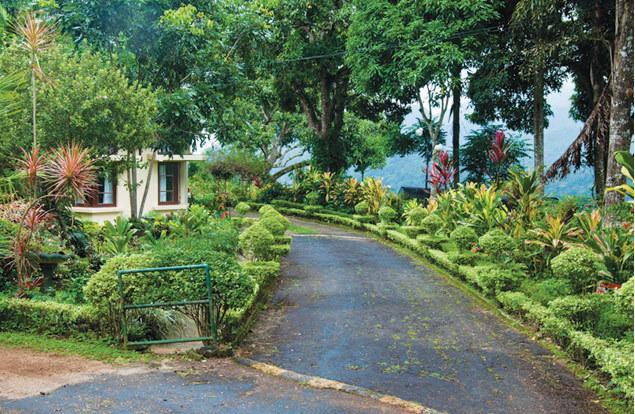 Отель Ancoombra Tea Estate Bungalow
