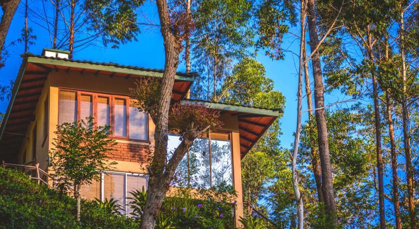 Отель The Tea Cottage Resort & Spa