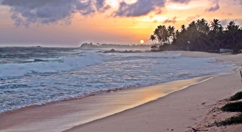 Отель Dalawella Beach Resort