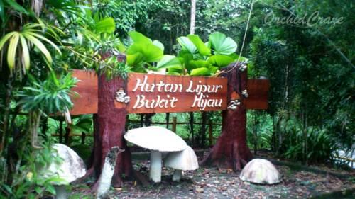 Отель Bustani Hotel, Jitra