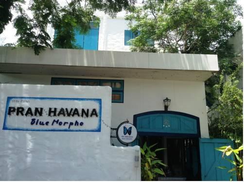 Отель Pran Havana