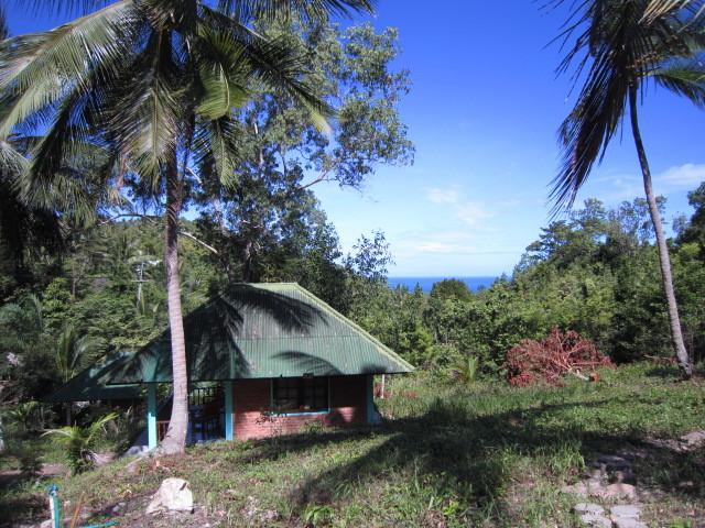 Апартаменты Phangan Natural Resort