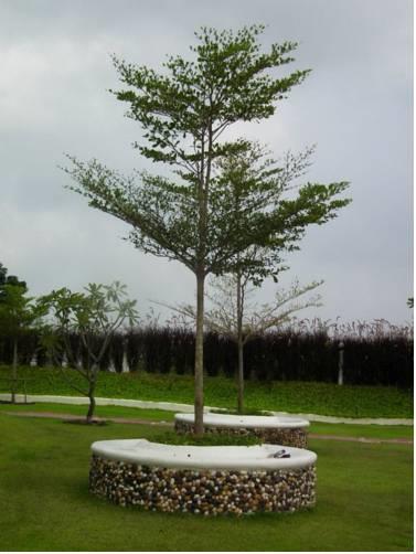 Отель The Clover Resort Suanphung