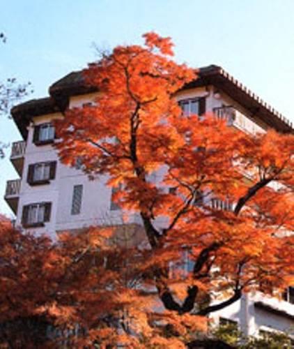 Отель Hashimoto Hotel