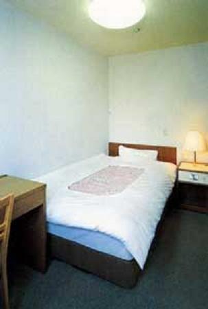 Отель Business Hotel Rupinasu