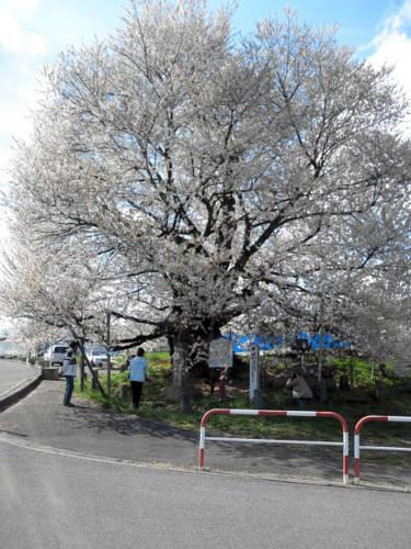 Отель Shiga Park Hotel
