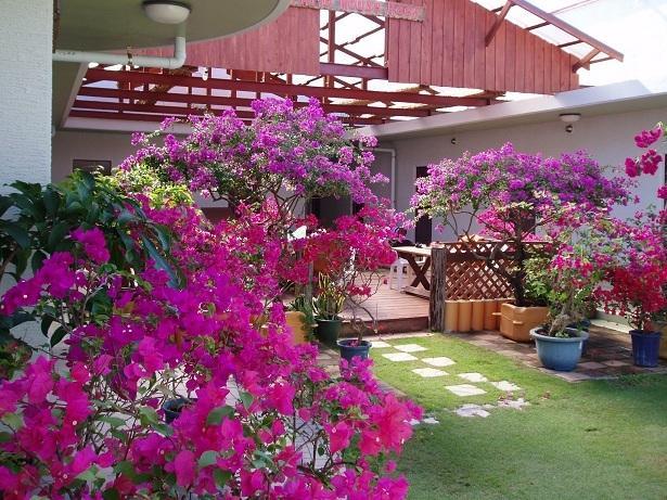 Отель Patio House Leaf