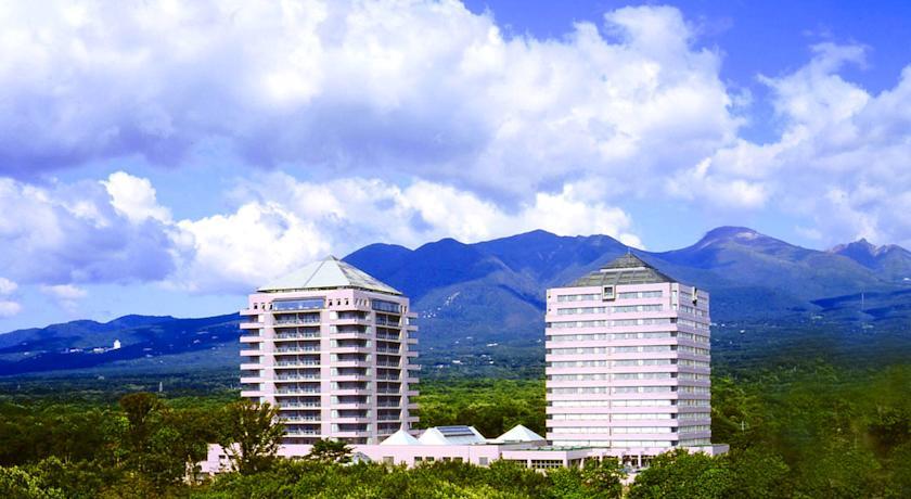 Отель Hotel Epinard Nasu