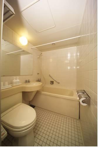 Отель Daiichi Inn Park