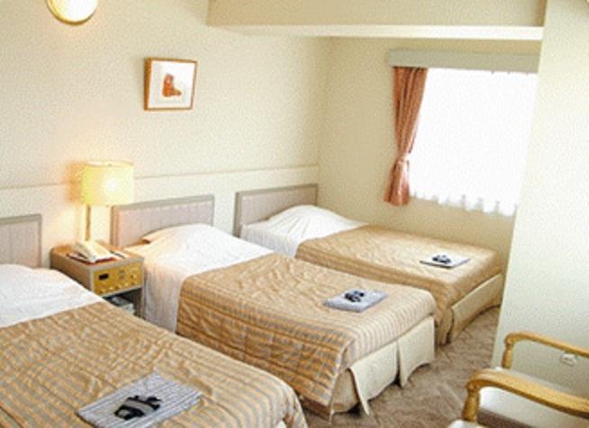 Отель Hotel New Marukatsu