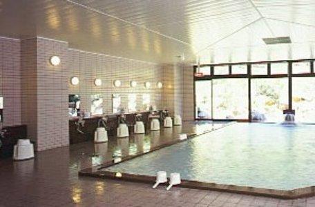 Отель Oizumi Kogen Yatsugatake Royal Hotel