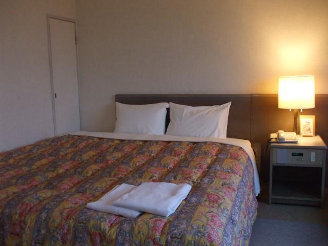 Отель Hotel Sunrise Inn
