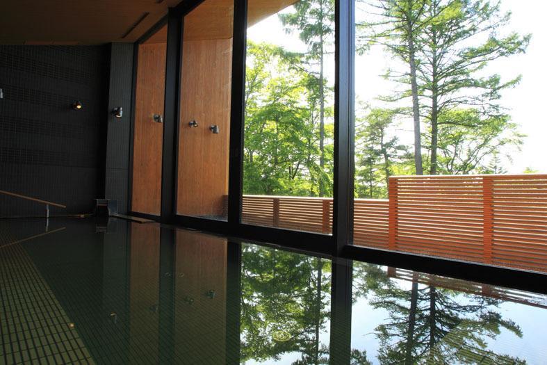 Отель Karuizawa Prince Hotel