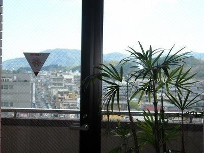 Отель Hotel Route-Inn Chichibu