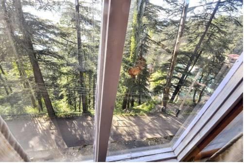 Отель Hotel Rahat Regency