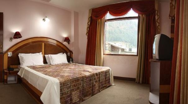 Отель Hotel Snow Park