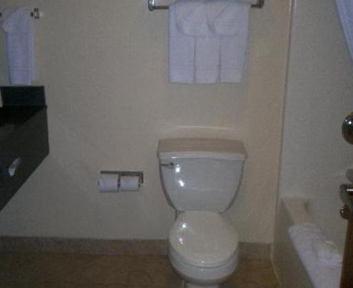 Отель Best Western Venture Inn