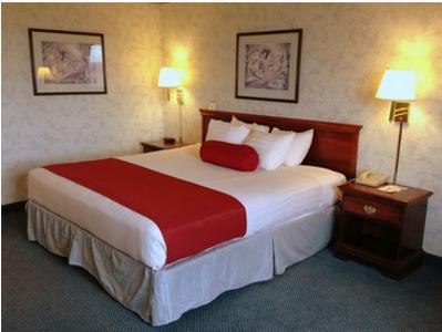 Отель Best Western Executive Inn