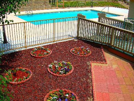 Отель Executive Inn and Suites Springdale