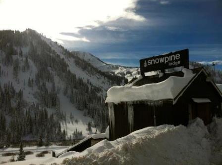 Отель The Snowpine Lodge