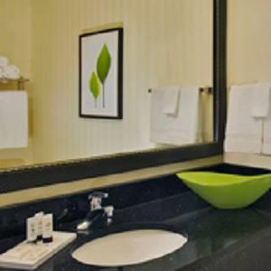 Отель Fairfield Inn & Suites Watervliet Berrien County