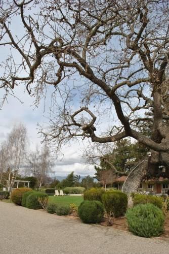 Отель Meadowlark Inn