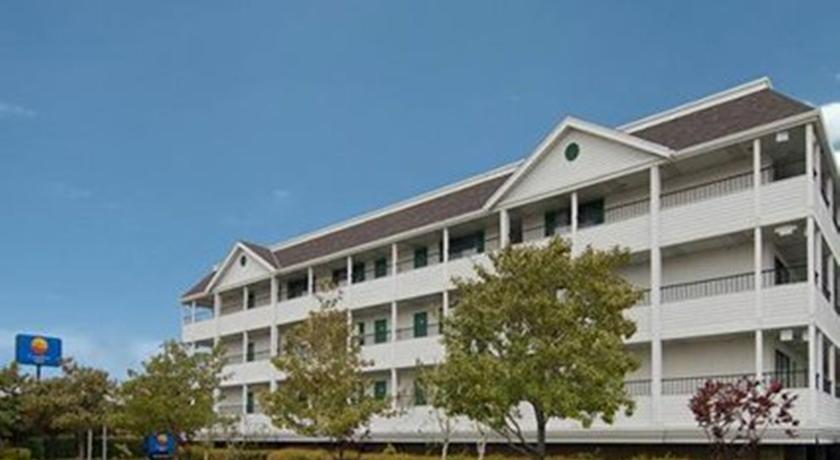 Отель Comfort Inn Airport South