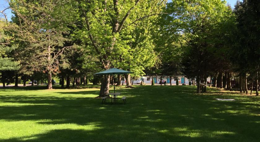 Отель Timberline Motel