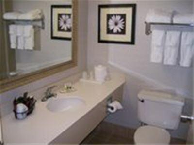 Отель Jameson Inn Hotel & Conference Center